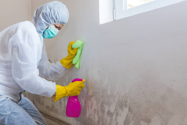 Best Emergency Mold Remediation  in Millersville, PA